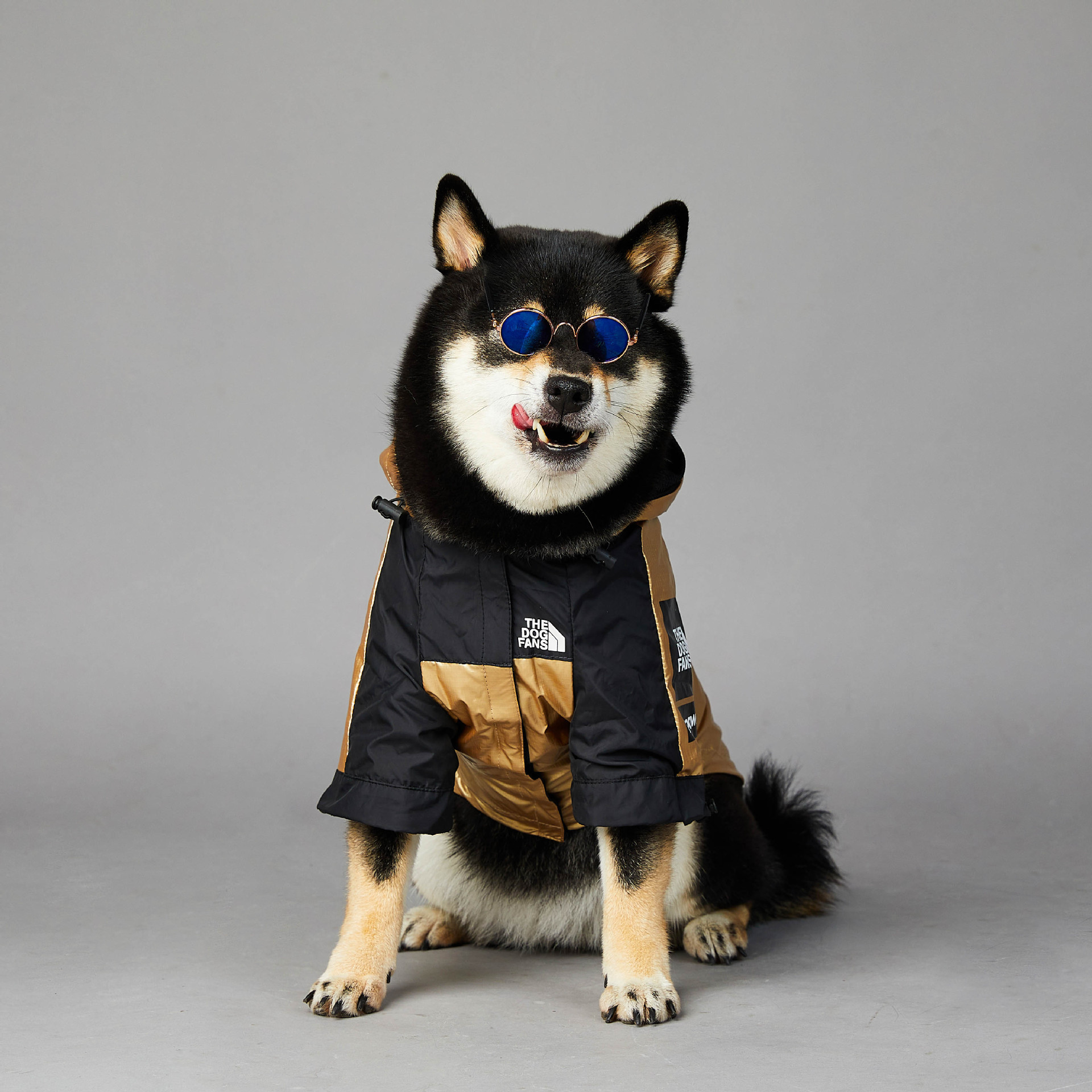 Dog Large Dog Raincoat Pet Jacket - Image 2