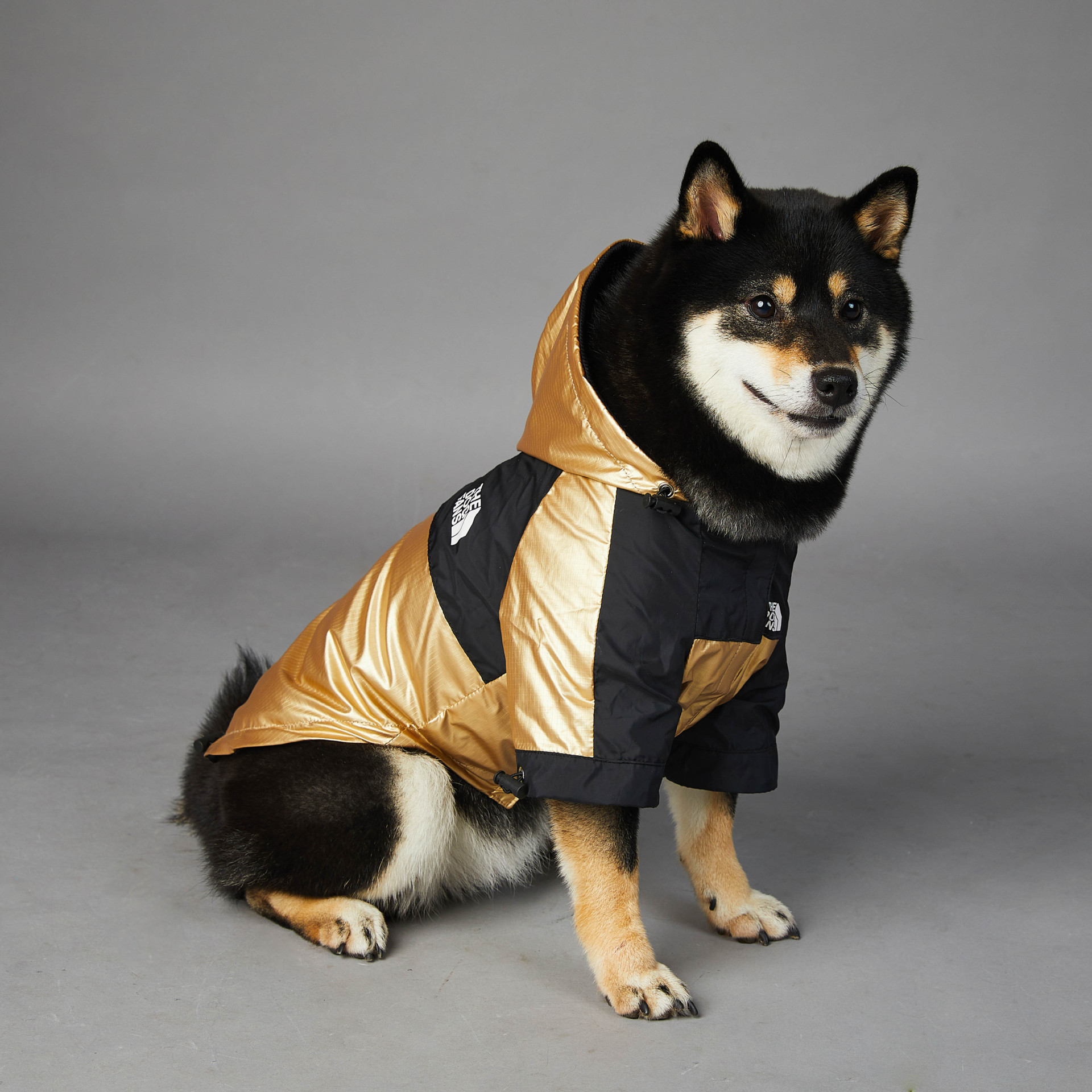 Dog Large Dog Raincoat Pet Jacket - Image 6